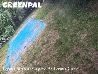 Yard Management in Binghamton, 13901, Yard Upkeep by Ez Pz Lawn Care, work completed in Nov , 2025