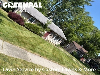 Grass Cut nearby Ypsilanti, MI, 
