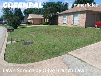 Lawn Mow nearby Fort Worth, TX, 