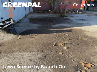 Affordable Landscaping Maintenance Services In Buffalo,14201,Landscaping Renovation by Branch Out, work completed in Dec , 2025