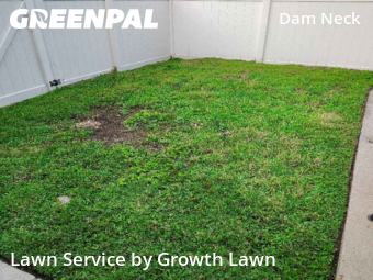 Yard Cutting nearby Virginia Beach, VA, 