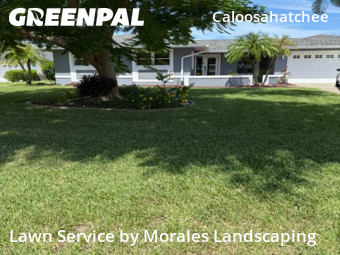 Lawn Service nearby Cape Coral, FL, 