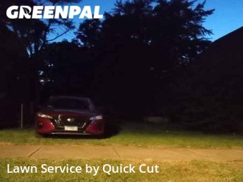 Lawn Cutting nearby Chicago, IL, 