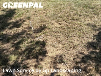 Lawn Service nearby Davidson, NC, 