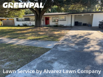 Yard Cuttingin Winter Park,32792,Lawn Service by Alvarez Lawn Company, work completed in Dec , 2025