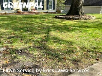 Lawn Cutting nearby Charlotte, NC, 