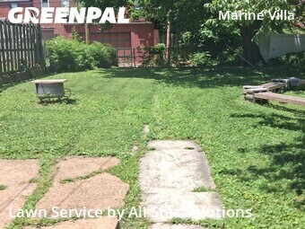 Lawn Care nearby St. Louis, IL, 