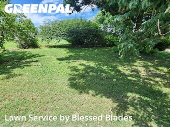 Yard Cutting nearby Springfield, MO, 