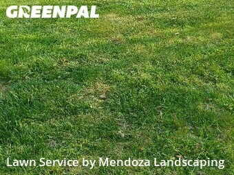 Lawn Cut nearby Greensboro, NC, 