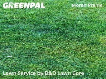 Grass Cut nearby Spokane, WA, 