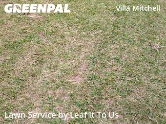 Grass Cutting nearby Tallahassee, FL, 