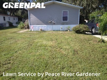 Lawn Cutting nearby Riverview, FL, 