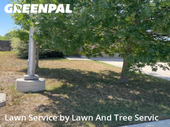 Lawn Service nearby New Braunfels, TX, 