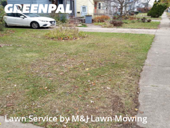 Lawn Service nearby Buffalo, NY, 