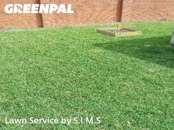 Lawn Care nearby Sugar Land, TX, 