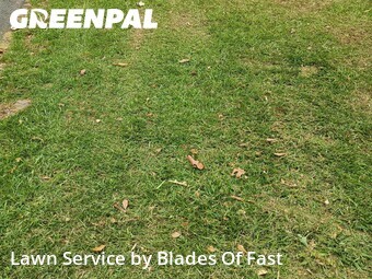 Lawn Maintenance nearby East Point, GA, 