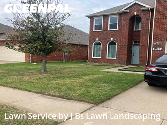 Grass Cut nearby Fort Worth, TX, 