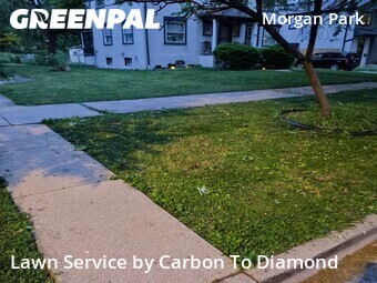 Lawn Mowin Chicago,60643,Yard Cutting by Carbon To Diamond , work completed in Jun , 2026