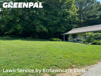 Yard Mowing nearby Mount Pleasant, TN, 