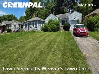 Lawn Mow nearby Indianapolis, IN, 