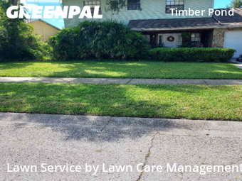 Yard Cutting nearby Brandon, FL, 