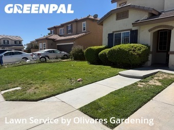 Lawn Mowin Lancaster,93535,Yard Cutting by Olivares Gardening , work completed in Jun , 2026