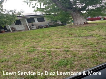 Lawn Mow nearby San Antonio, TX, 