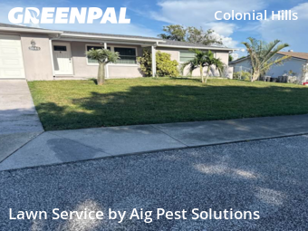 Lawn Maintenance nearby New Prt Rchy, FL, 