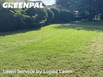 Lawn Care nearby Allen, TX, 