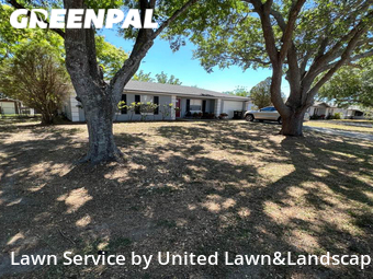 Grass Cut nearby Lakeland, FL, 