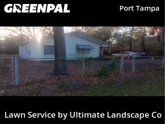 Lawn Cut nearby Tampa, FL, 