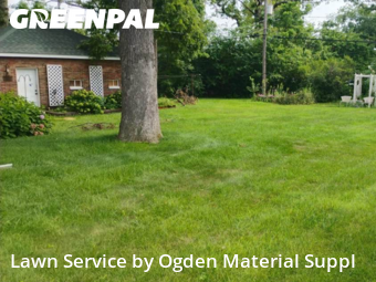 Lawn Mow nearby Worth, IL, 