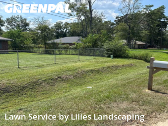 Lawn Mowing Servicein Porter,77365,Lawn Cutting by Lilies Landscaping, work completed in Nov , 2025