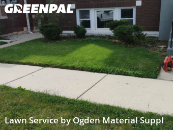 Lawn Cutting nearby Berwyn, IL, 