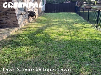 Grass Cut nearby Grapevine, TX, 