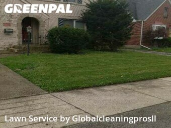 Grass Cut nearby Dolton, IL, 