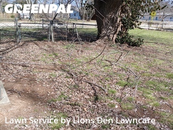 Lawn Care Service nearby Springfield, MO, 