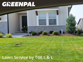 Yard Cutting nearby Lee's Summit, MO, 