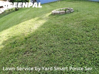 Lawn Mowing Service nearby St. Charles, IL, 
