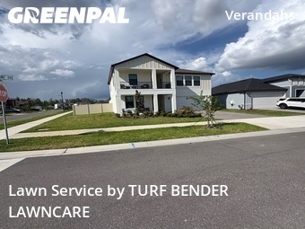 Lawn Mow nearby Land O'lakes, FL, 