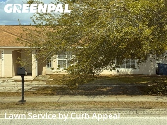 Lawn mowed in Spring Hill, 34609