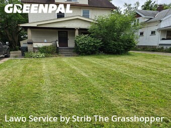 Grass Cut nearby Cleveland, OH, 