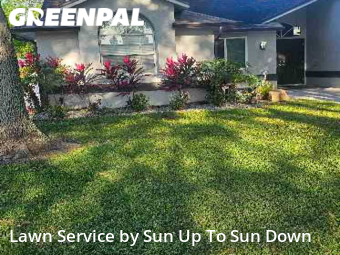 Lawn Maintenance nearby Clearwater, FL, 