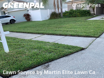 Lawn Mowing nearby Wesley Chapel, FL, 