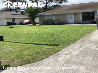 Grass Cut nearby Port St. Lucie, FL, 