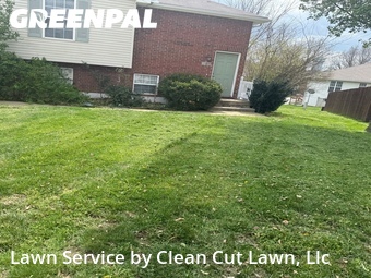 Yard Mowing nearby Blue Springs, MO, 