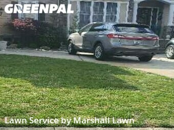 Lawn Cut nearby Chesapeake, VA, 