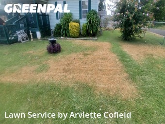 Grass Cutting nearby Fairfield, AL, 