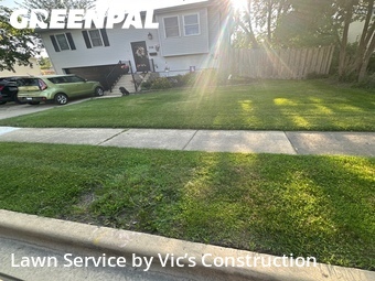 Lawn mowed in Romeoville, 60446