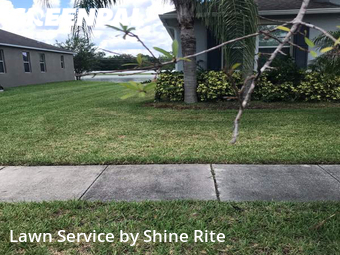 Lawn Care Service nearby Orlando, FL, 
